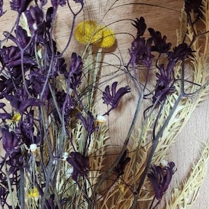 Bouquet of various dried flowers