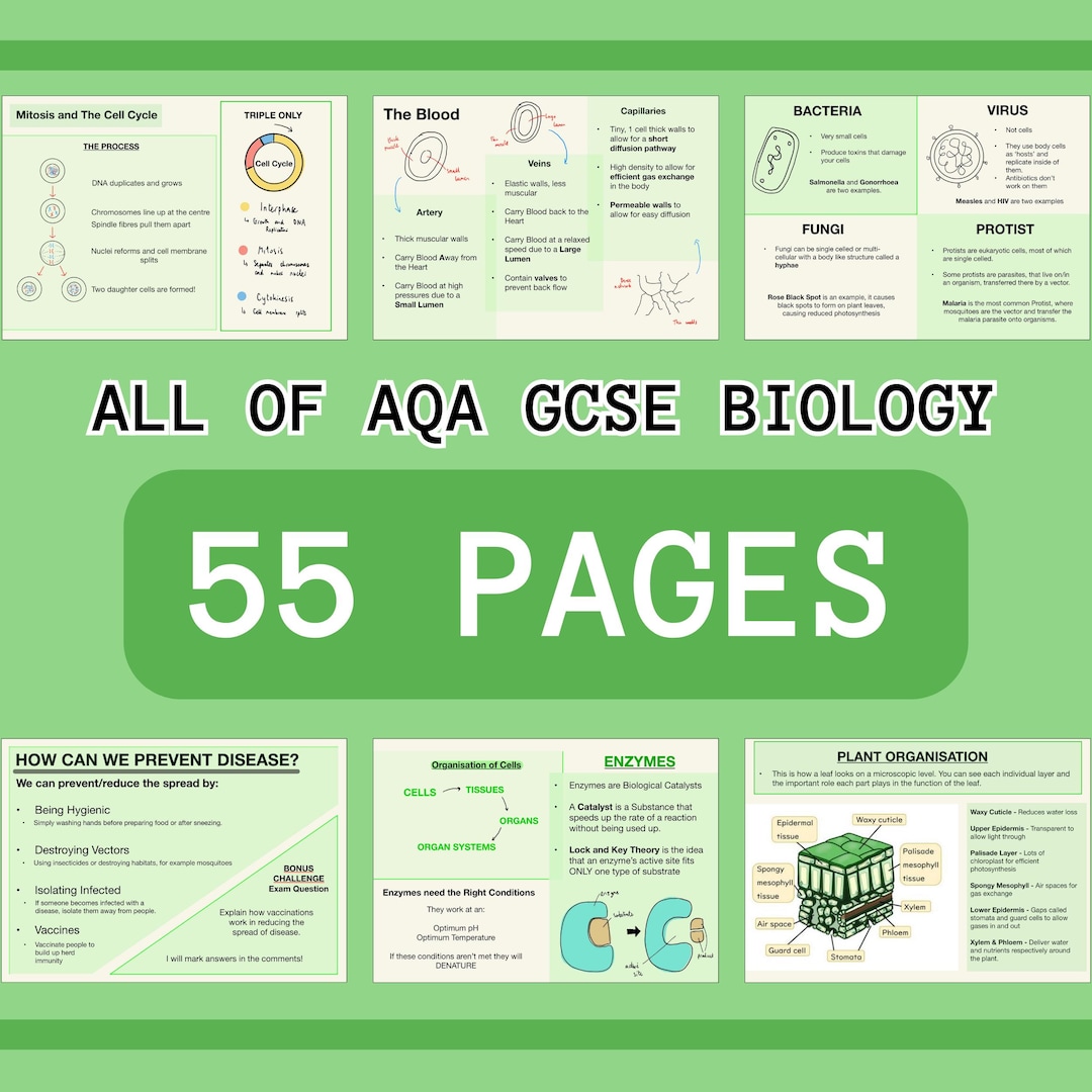 The WHOLE of AQA GCSE Biology - Revision Notes | 50+ Pages - Etsy