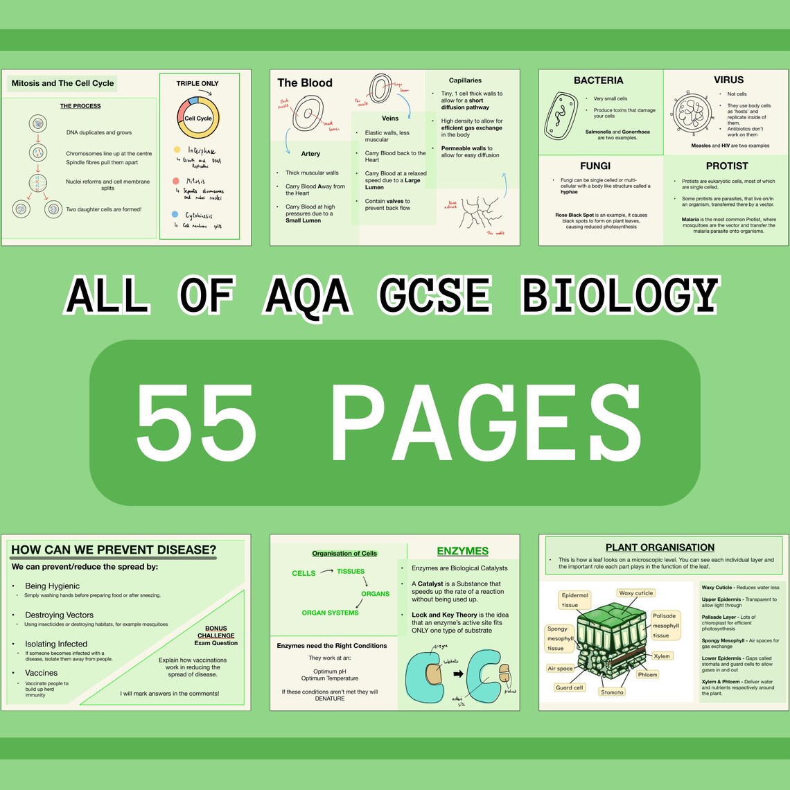 The WHOLE of AQA GCSE Biology - Revision Notes | 50+ Pages - Etsy UK