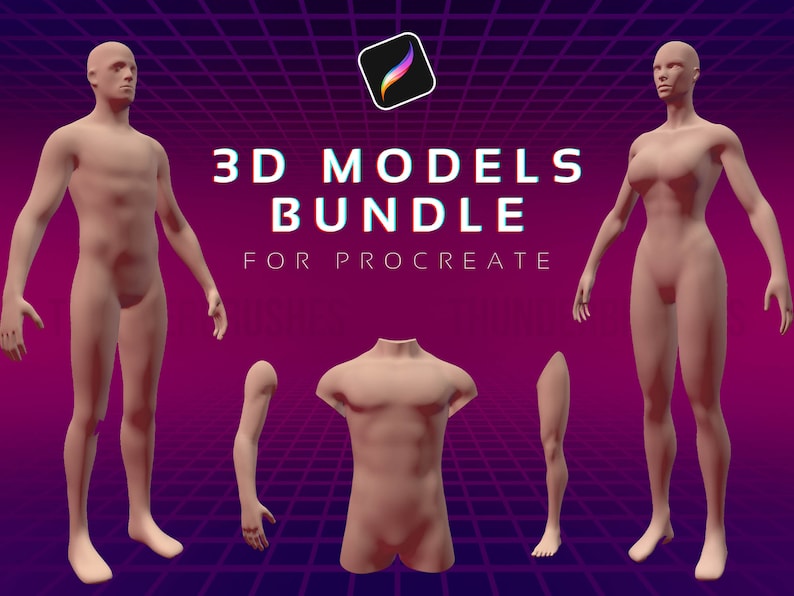 Procreate Modelos humanos 3D Paquete 3D de anatomía Partes del cuerpo del tatuaje imagen 1