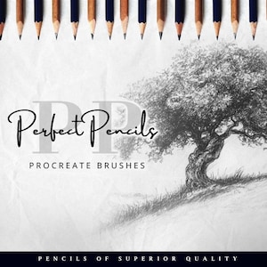 Procreate Bleistift Pinsel Set: 30 Hochwertige Pinsel (Digitaler Download)