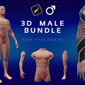 3D Male Anatomy Models: Tattoo Body Parts for Procreate (Digital Download)