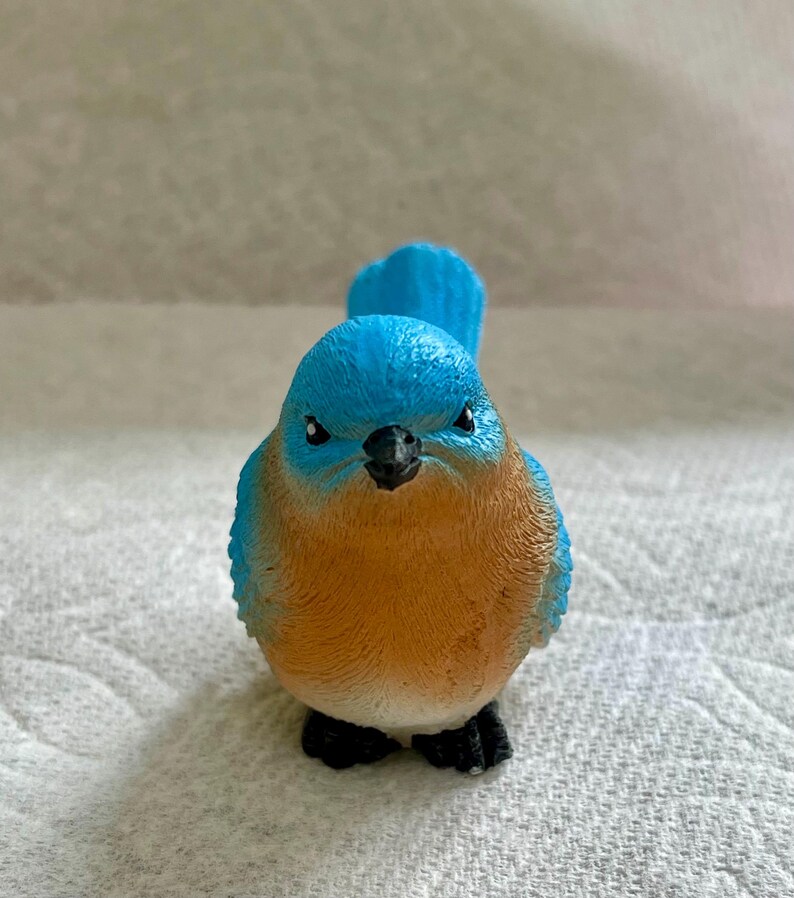 May include: A bluebird figurine with a brown chest and black eyes. The bird is looking directly at the camera.