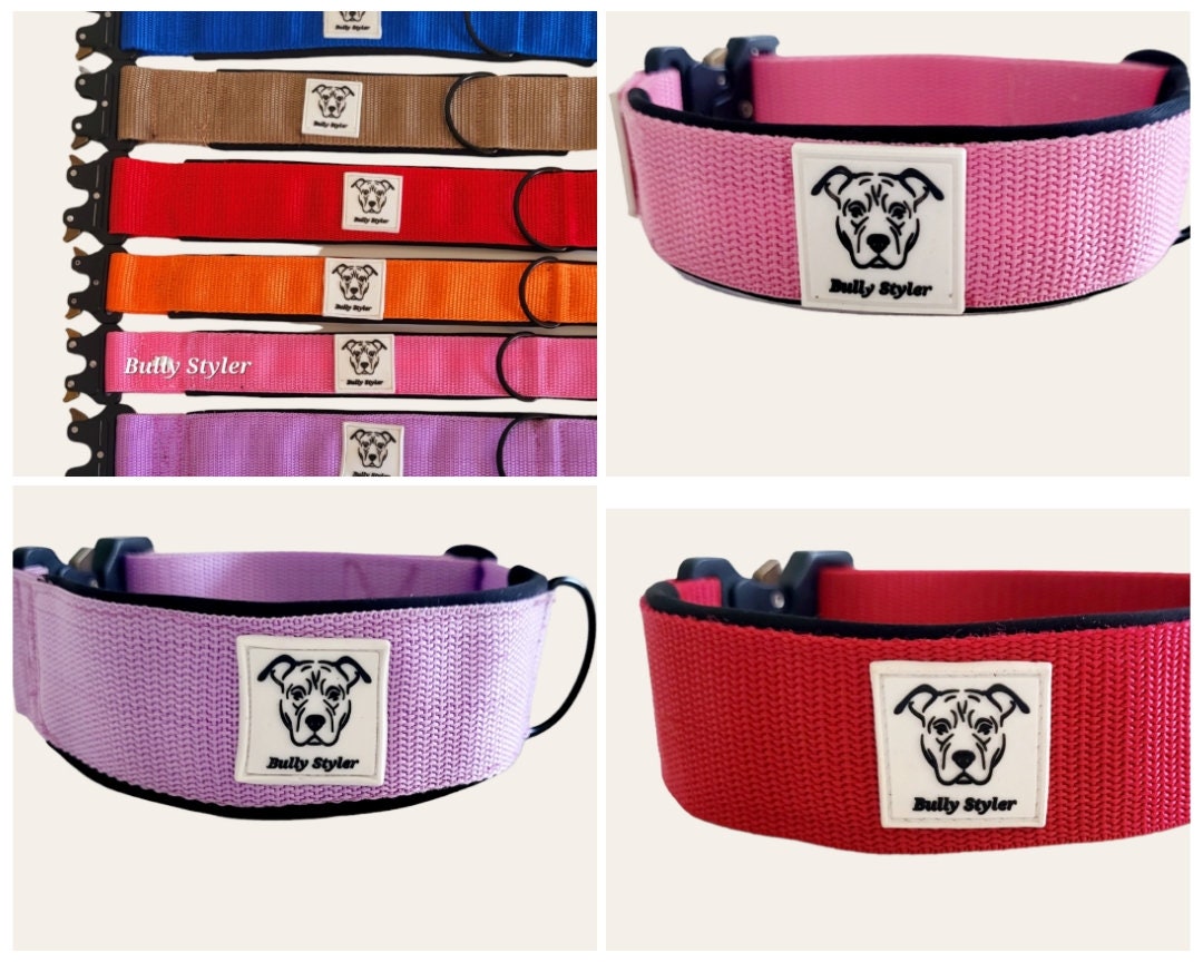 Plain 5 Cm Tactical Dog Collar Safety Collar Cobra Buckle Etsy