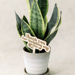 Thank You for Helping Me Grow Plant Stake Personalized Teacher Gift | Teacher Retirement Gift | End of Year Teacher Gift