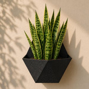Puede incluir: Una jardinera de pared negra y geométrica con una planta de serpiente. La jardinera está montada en una pared beige. La planta de serpiente tiene hojas a rayas verdes y amarillas. El texto de la imagen dice "Modern Wall Planter."