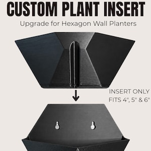 Plant Insert for Hexagon Wall Planter, Removable Planter Insert, Replacement & Upgrade Accessory, Easy Plant Care
