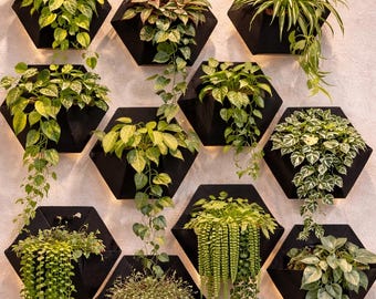 Modern Hexagon Wall Planter: Minimalist Geometric Plant Holder, Home Décor