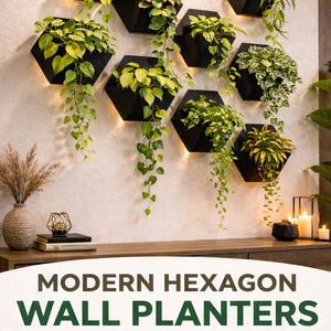 Może przedstawiać: Prezentacja czarnych, sześciokątnych donic ściennych wypełnionych różnymi zielonymi roślinami. Donice są zamontowane na jasnej ścianie. Obraz zawiera również tekst "MODERN HEXAGON WALL PLANTERS".