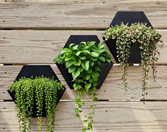 Modern hexagonväggplanter: Minimalistisk geometrisk växthållare, heminredning
