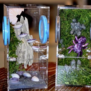 NON-BioActive Jumping Spider Enclosures - Magnetic Medium 3x3x6