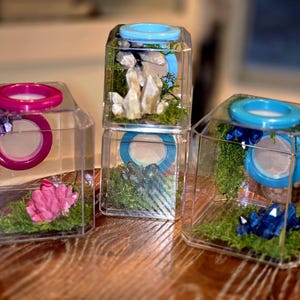 NON-BioActive Jumping Spider Enclosures - Mini & Juvenile Sized