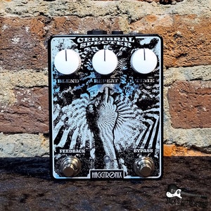 Haggtronix Cerebral Specter Delay / Reverb