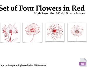 Paquete de arte digital de flores rojas