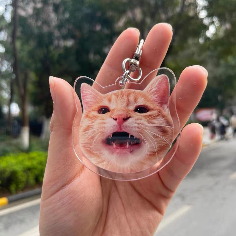 May include: A clear acrylic keychain featuring a photo of a cat's face. The cat is orange and white and has its mouth open, showing its teeth.