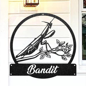 Custom Praying Mantis Wall Art, Personalized Praying Mantis Name Sign, Bug Decor, Unique Room Decor, Home Gift, Praying Mantis Lover Gift