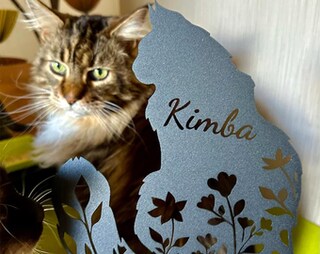 Targa Da Parete In Metallo Qiongqi – Gatto Nero Dei Tarocchi, 20x30 Cm, Rustica, Fori Preforati, Decorazione Casa Per Amanti Gatti