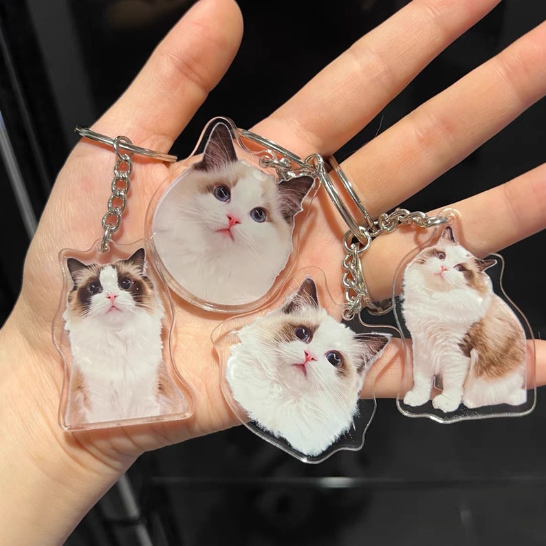 May include: Four clear acrylic keyrings featuring images of Ragdoll cats. Each keyring showcases a different cat with white and brown fur. The keyrings are attached to silver metal key rings.