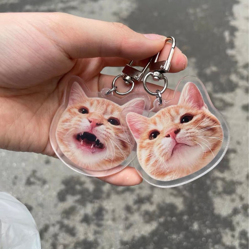 May include: Two clear acrylic keychains featuring a photo of a cat's face on each. The cat is orange and white with a surprised expression.
