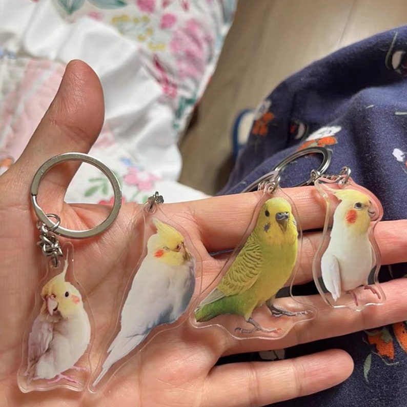 May include: Four clear acrylic keychains featuring different types of birds. The keychains are shaped like the birds and have a silver metal ring attached. The birds are a yellow and green budgie, a white cockatiel, and two cockatiels with yellow and white feathers.