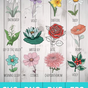 Geburt Monat Blumen SVG - Wildblume svg, Geburtstagsblume, Blumen Clipart, botanische svg, florale svg, Daisy svg, Rose svg, Mohn svg png