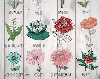Birth Month Flowers SVG - Wildflower svg,Birthday Flower, Flower Clipart, Botanical svg ,Floral Svg ,Daisy svg ,Rose svg, Poppy svg png