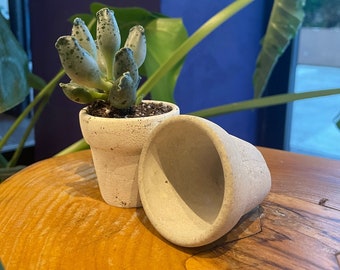 Set of 6 Mini Cactus Pot | Succulent Pot | Concrete Flowerpot | İndoor Planters | Original planter gift ! DIY |