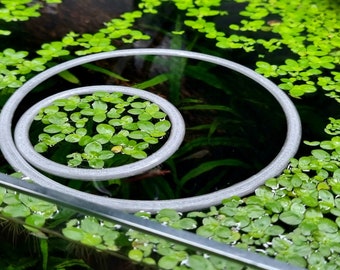 Circular Aquarium Floating Plant Window - Natural & Non-toxic