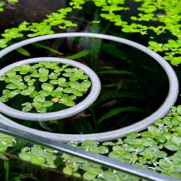 Circular Aquarium Floating Plant Window - Natural & Non-toxic