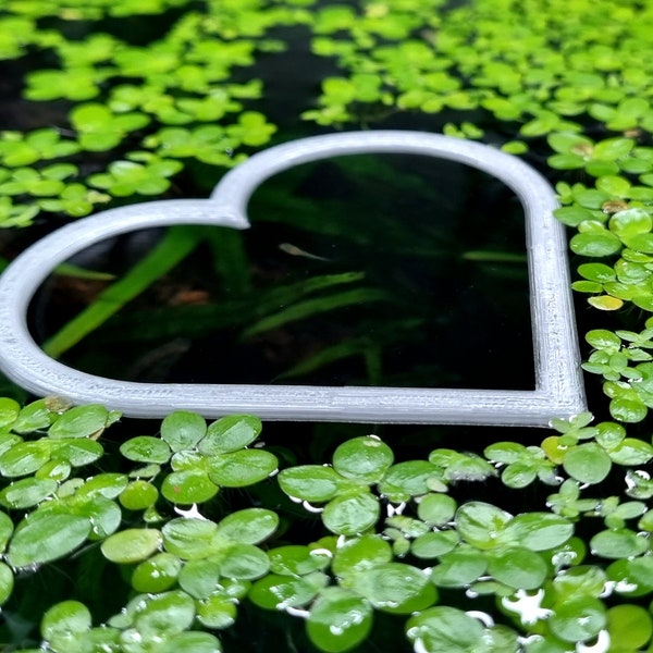 Love Heart Aquarium Floating Plant Window - Natural & Non-toxic