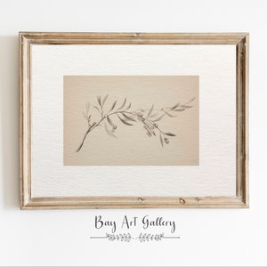 Esboço de ramo de oliveira | Arte Oliveira | Esboço de árvore vintage | IMPRIMÍVEL para download digital | Decoração moderna de fazenda