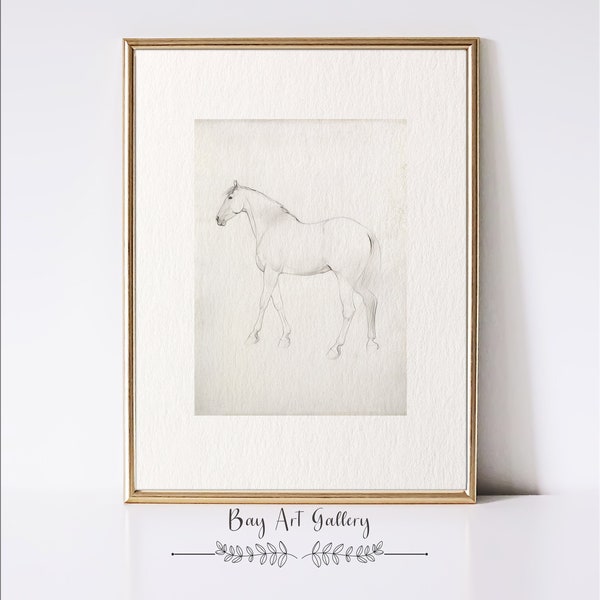 Impression de croquis de cheval | Dessin d'animaux | Art neutre pour chambre de bébé | Art imprimable