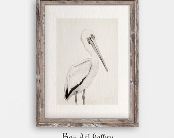 Pelican Sketch, Pelican Drawing