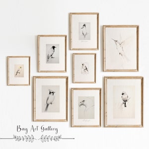 Antike Vogel Skizzen Galerie Drucke Neutral Wand Kunst | 8er SET Vintage Digital | Set DRUCKBARE