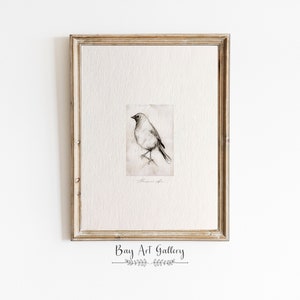 Robin Bird Sketch | Vintage Moody Bird Etching | Minimalist Drawing Art PRINTABLE | Bird Drawing