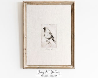 Robin Bird Sketch | Vintage Moody Bird Etching | Minimalist Drawing Art PRINTABLE | Bird Drawing