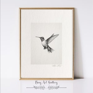 Vögel Skizze Print | Tier Zeichnung | Rustikale Kunst | Kolibri Wandbild |