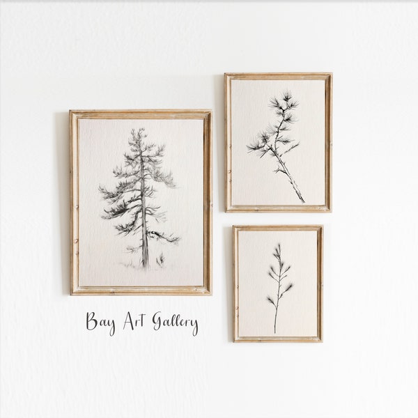 Sketch Trio , Botanical Sketches, Nature Study Set, Tree Branch Drawings, Minimalist Sketch Art, Woodland Sketches