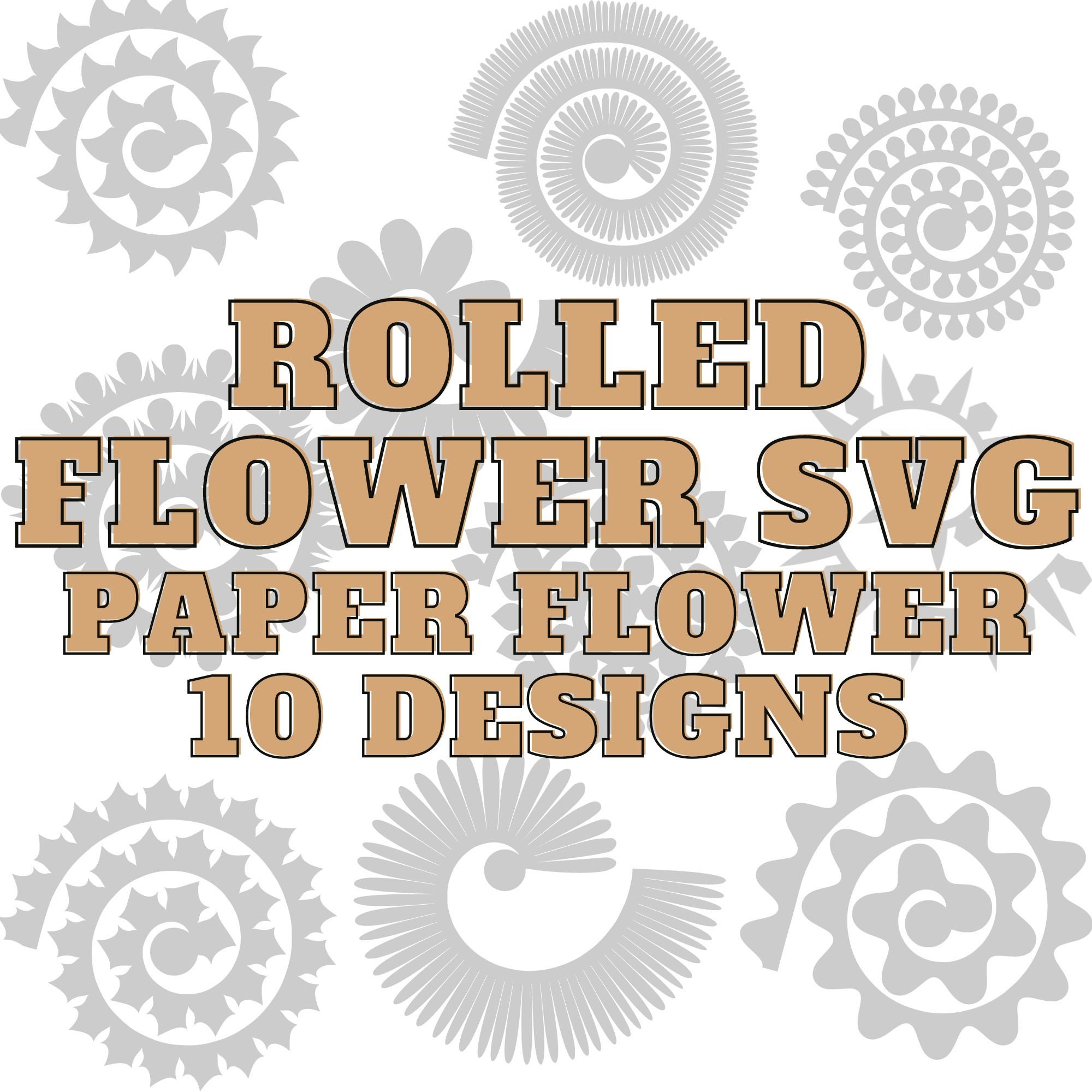 Rolled Flower Template Bundle Paper Flowers Shadow Box Flowers Rolled ...
