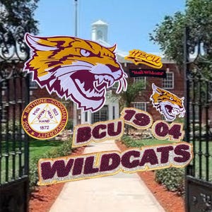 May include: A collection of embroidered patches featuring the Bethune-Cookman University Wildcats logo and text. The patches include the school's name, founding year, and the text "HBCU". The patches are in maroon, gold, and white.