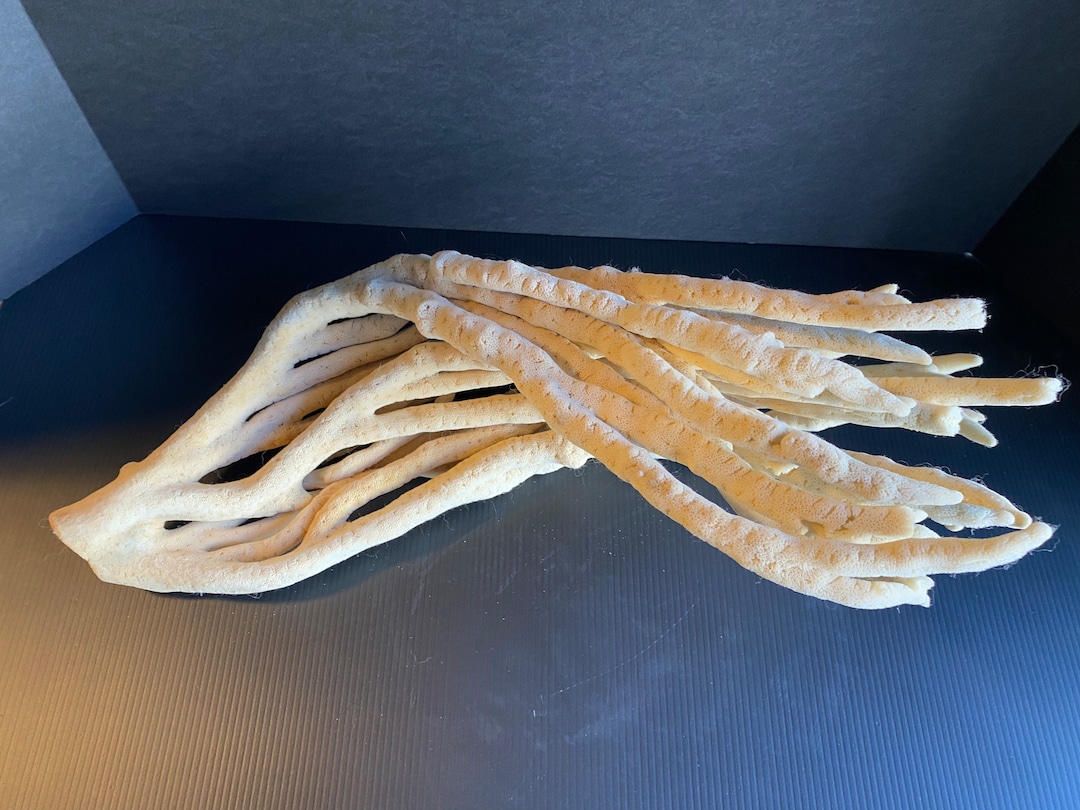 Natural Large Ocean Finger Sea Sponge Etsy