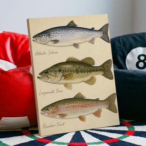 Three Freshwater Fish Watercolor Study Poster & Canvas 1128D