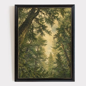 Vintage Woodland Canopy Forest Illustration Poster & Canvas D1A8G