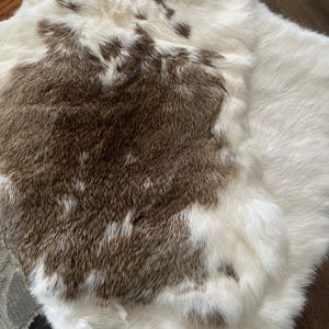 mystery rabbit pelt real