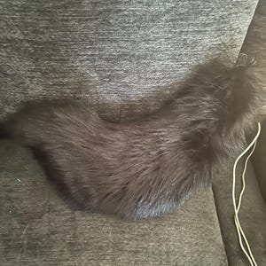 puppy tails