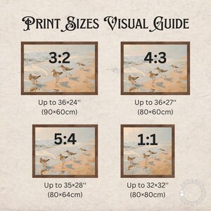 Op de afbeelding: Een visuele gids voor afdrukformaten voor kunstwerken, met vier verschillende beeldverhoudingen: 3:2, 4:3, 5:4 en 1:1. Elke verhouding wordt ge&iuml;llustreerd met een afbeelding van vogels op een strand en bevat de maximale afdrukmaat in inches en centimeters.