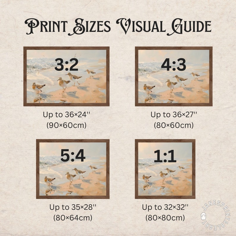 Op de afbeelding: Een visuele gids voor afdrukformaten voor kunstwerken, met vier verschillende beeldverhoudingen: 3:2, 4:3, 5:4 en 1:1. Elke verhouding wordt ge&iuml;llustreerd met een afbeelding van vogels op een strand en bevat de maximale afdrukmaat in inches en centimeters.
