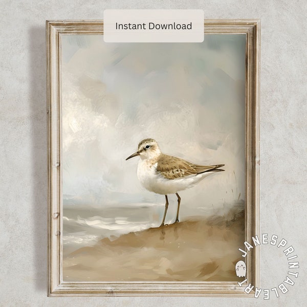 Sandpiper Bird Digital Download, Neutral Seaside Wall Art, Ocean Bird Art Print Summer Nautical Picture, Vintage Digital Print of Sandpiper