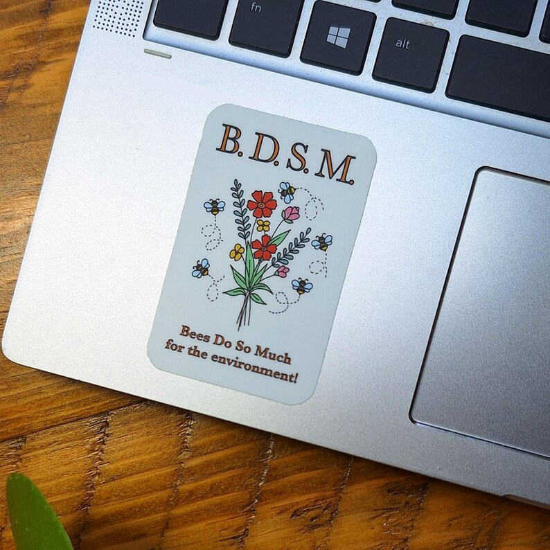 May include: A rectangular sticker with rounded corners featuring a bouquet of red, pink, yellow, and green flowers surrounded by five small bees. The text B.D.S.M. appears at the top, and the text Bees Do So Much for the environment! is at the bottom.