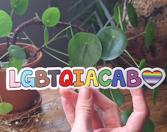 Adesivo in vinile LGBTQI ACAB / Adesivi arcobaleno queer punk / Arte di resistenza alle proteste politiche / Adesivo impermeabile antifascista Gay Pride